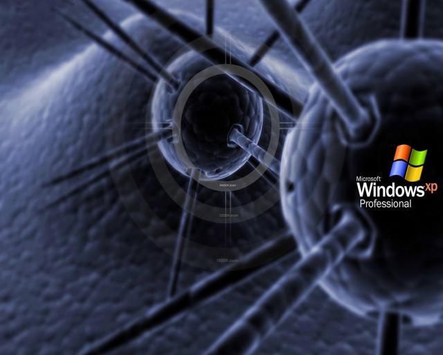 windows_xp_157