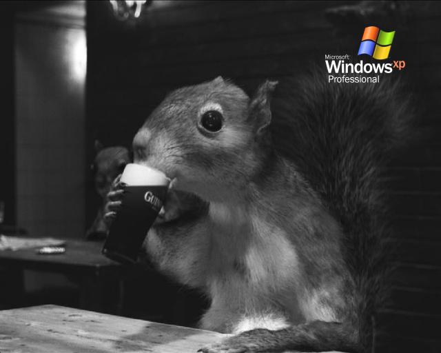 windows_xp_163