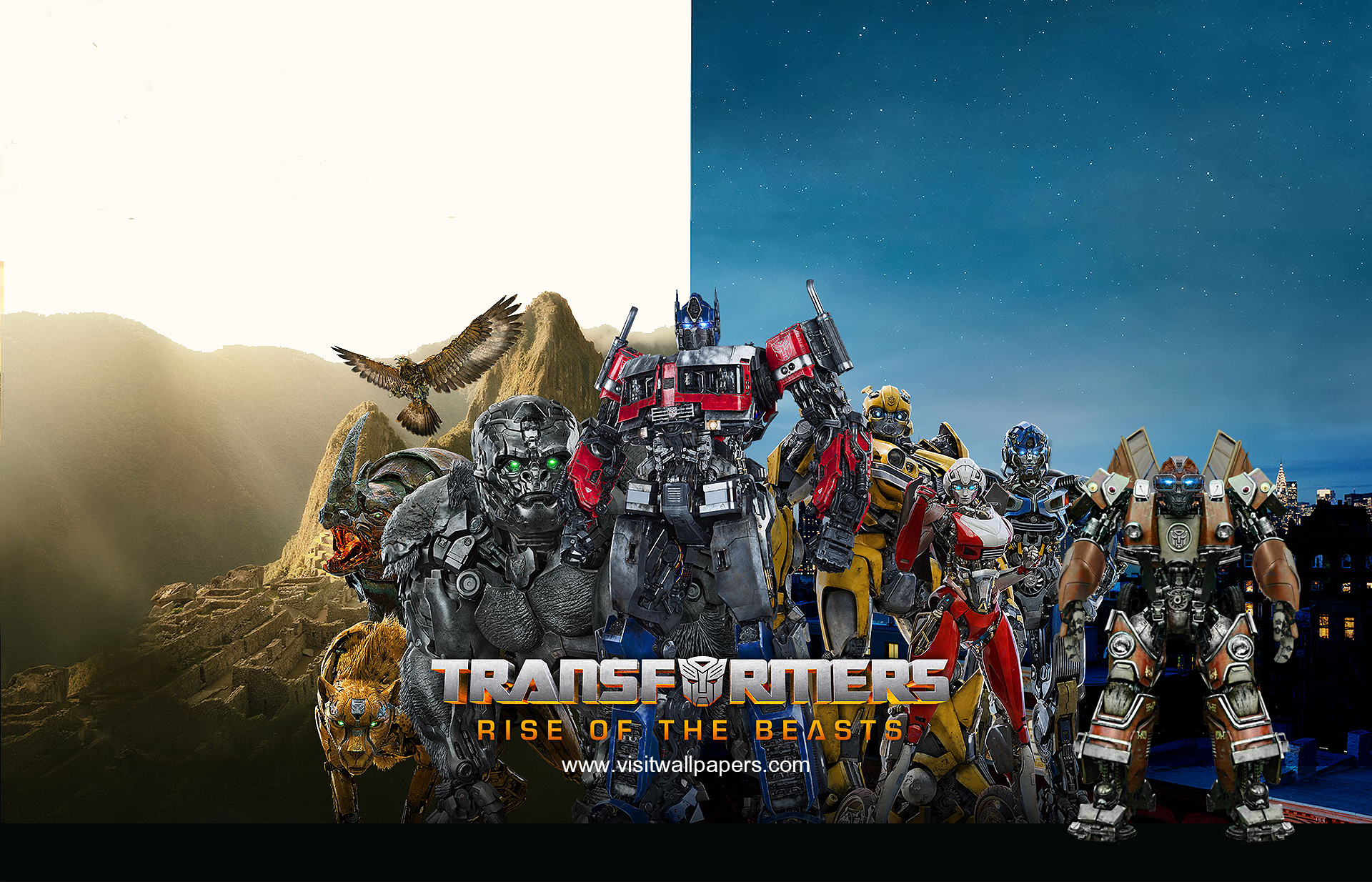transformers264
