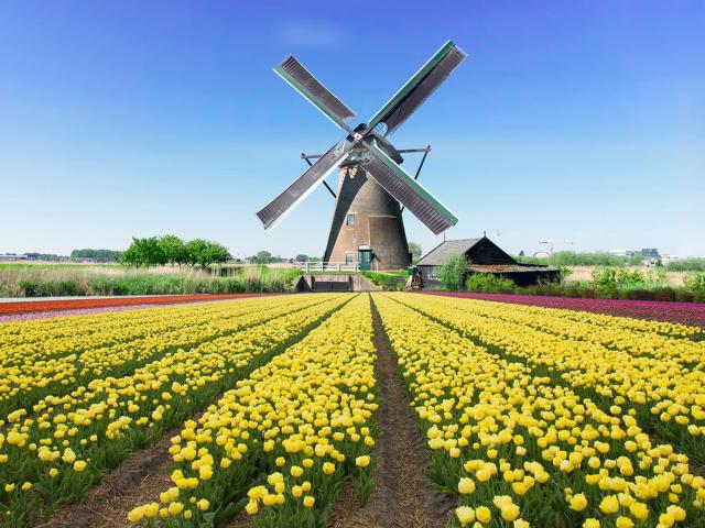 Windmill_89