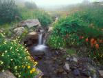 waterfalls_032