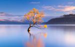 New_Zealand_228