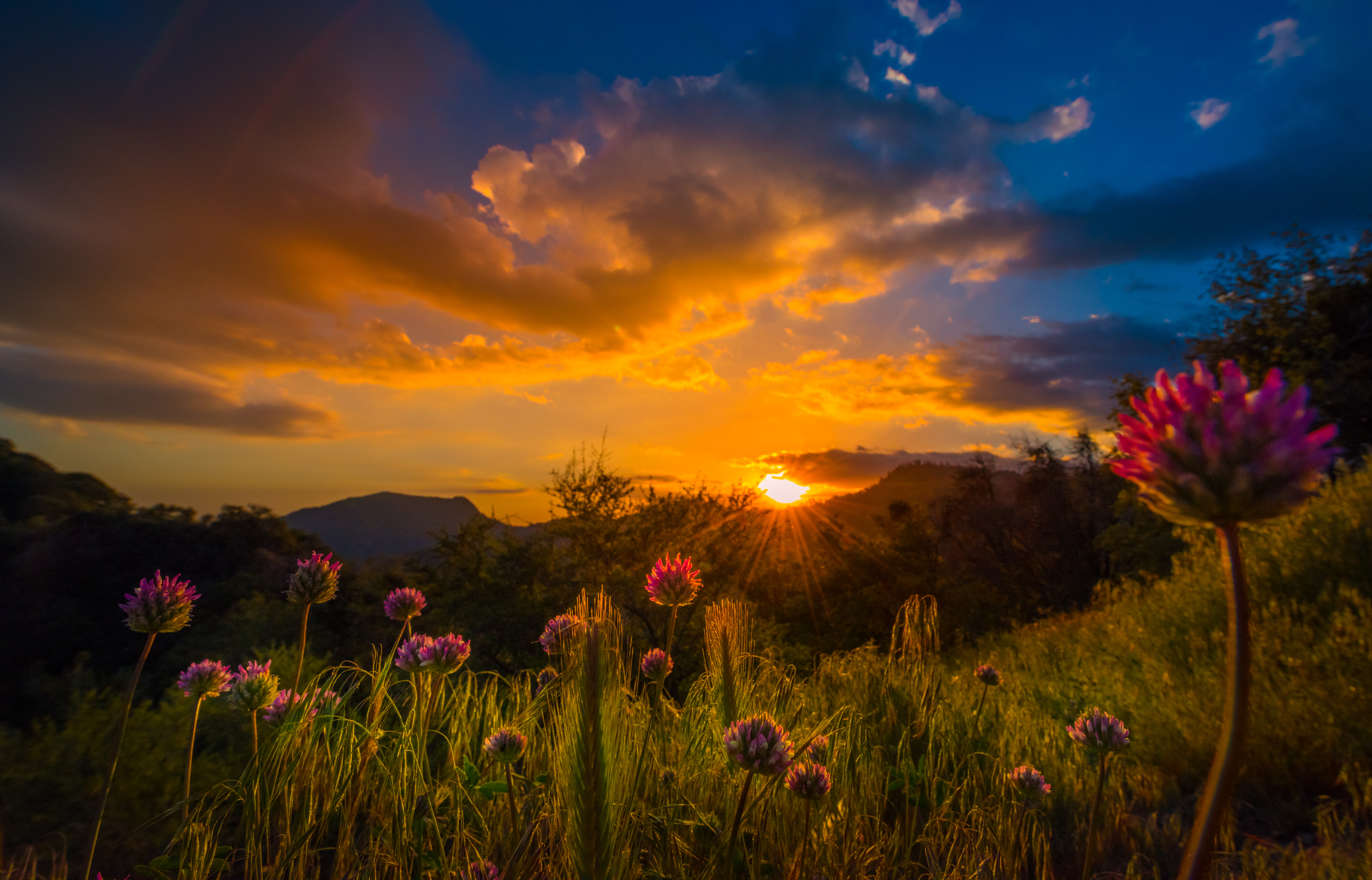 Sunset_1348
