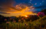 Sunset_1348
