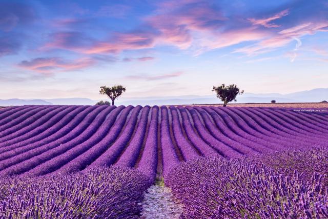 France_182