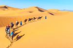 Desert_163
