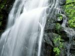 waterfalls_058