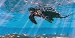 ocean-life-791