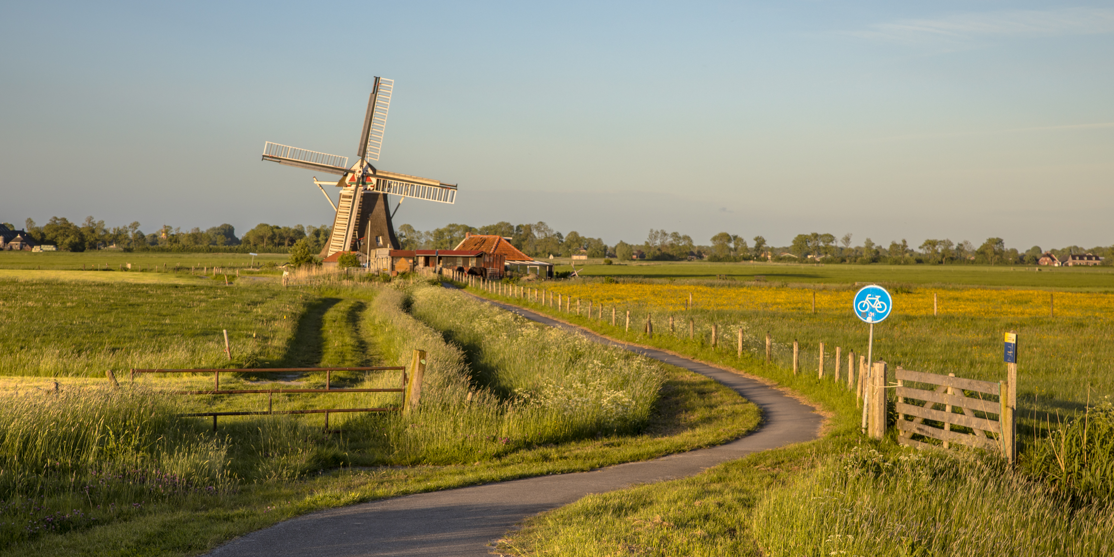 Windmill_99