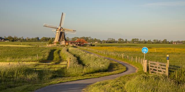 Windmill_99
