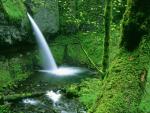 waterfalls_075