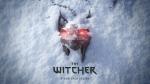 the_witcher_4