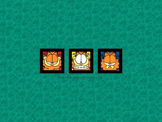 Garfield_17