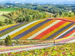 Japan_263