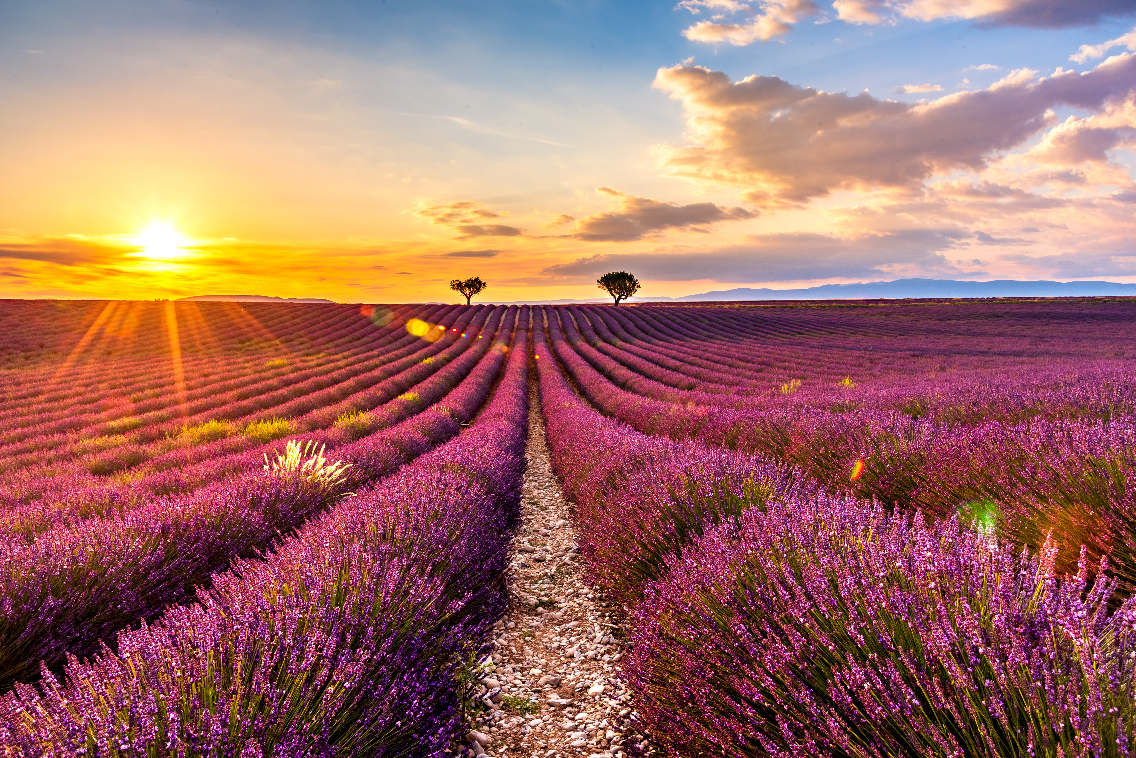 Sunset_1390