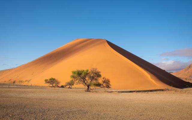 Desert_171