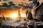 Sunset_1393