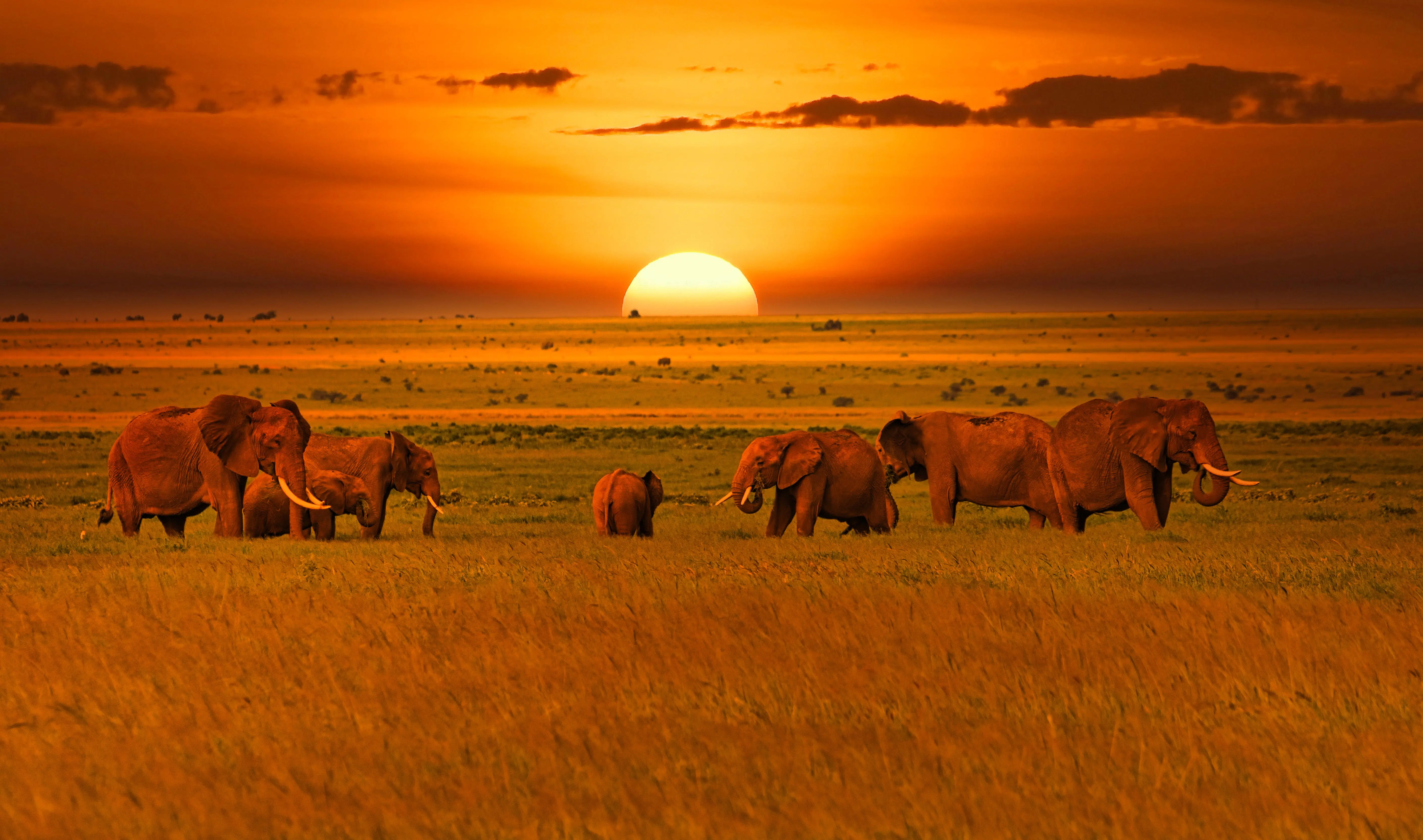 Sunset_1397