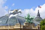 France_524