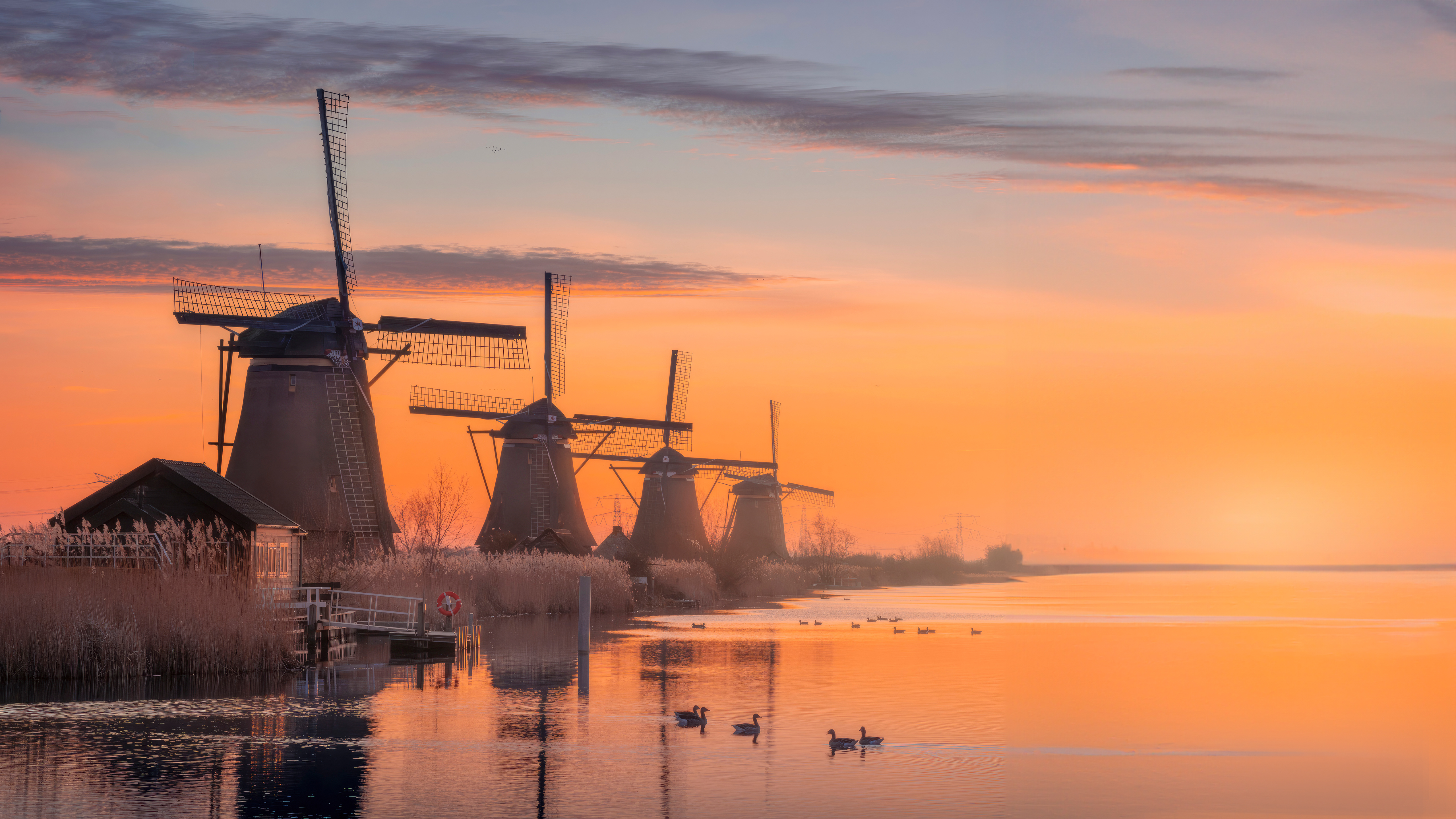 Windmill_106