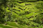Indonesia_211