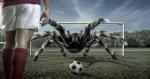 football_03