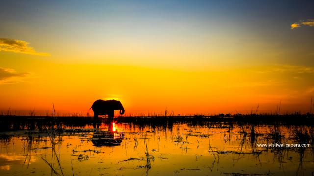 Sunset_1418