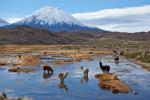 south_america_295