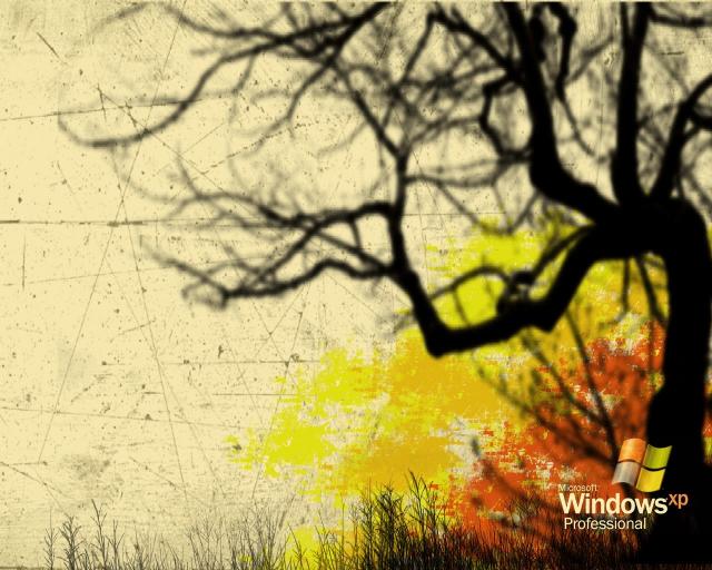 windows_xp_177