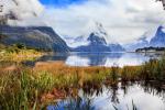 New_Zealand_238