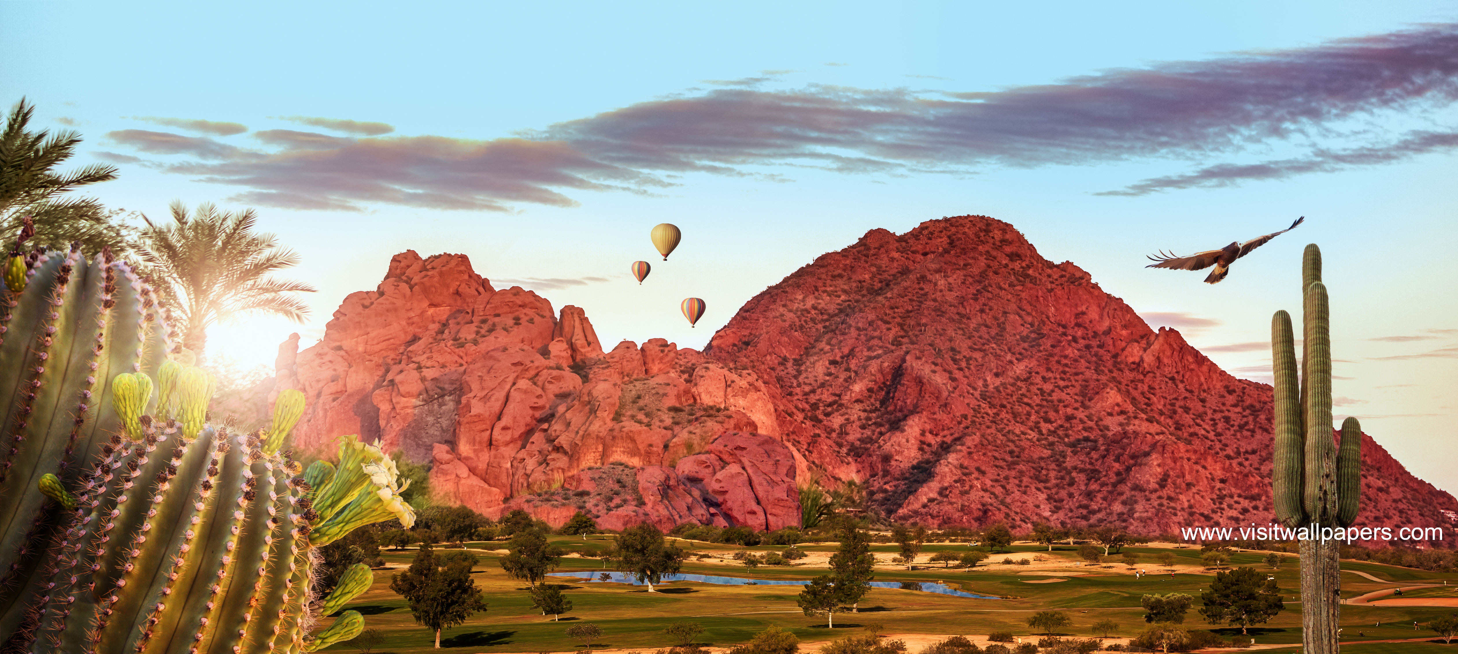 Balloon_30