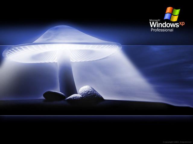 windows_xp_197
