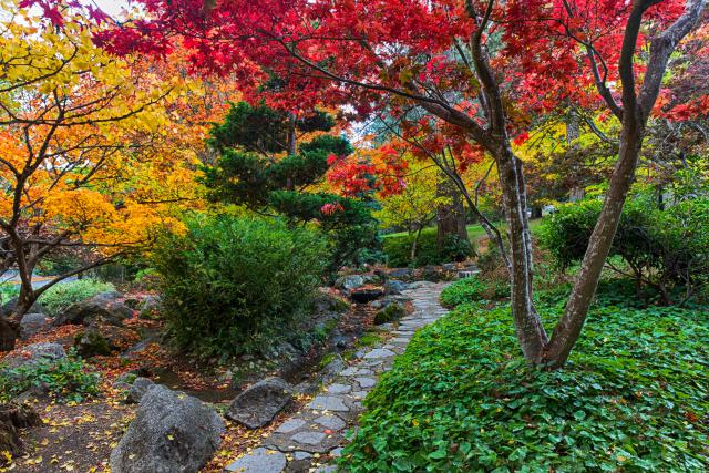 Garden_055