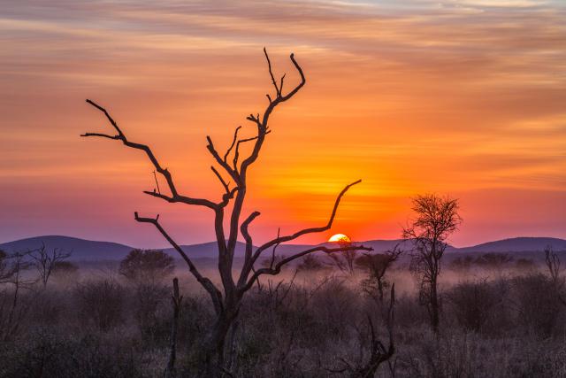 Sunrise_487