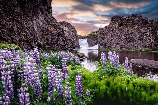 Nature_340
