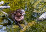 Animals_925