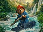 paddington_in_peru_02