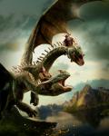 httyd_21