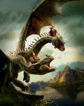 httyd_21