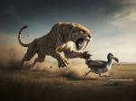 Tiger_177