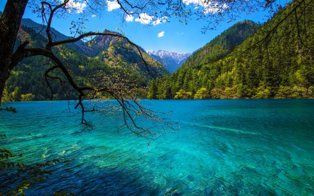 jiuzhaigou-valley_088