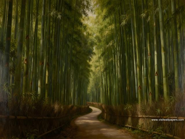 Bamboo_Forest_02
