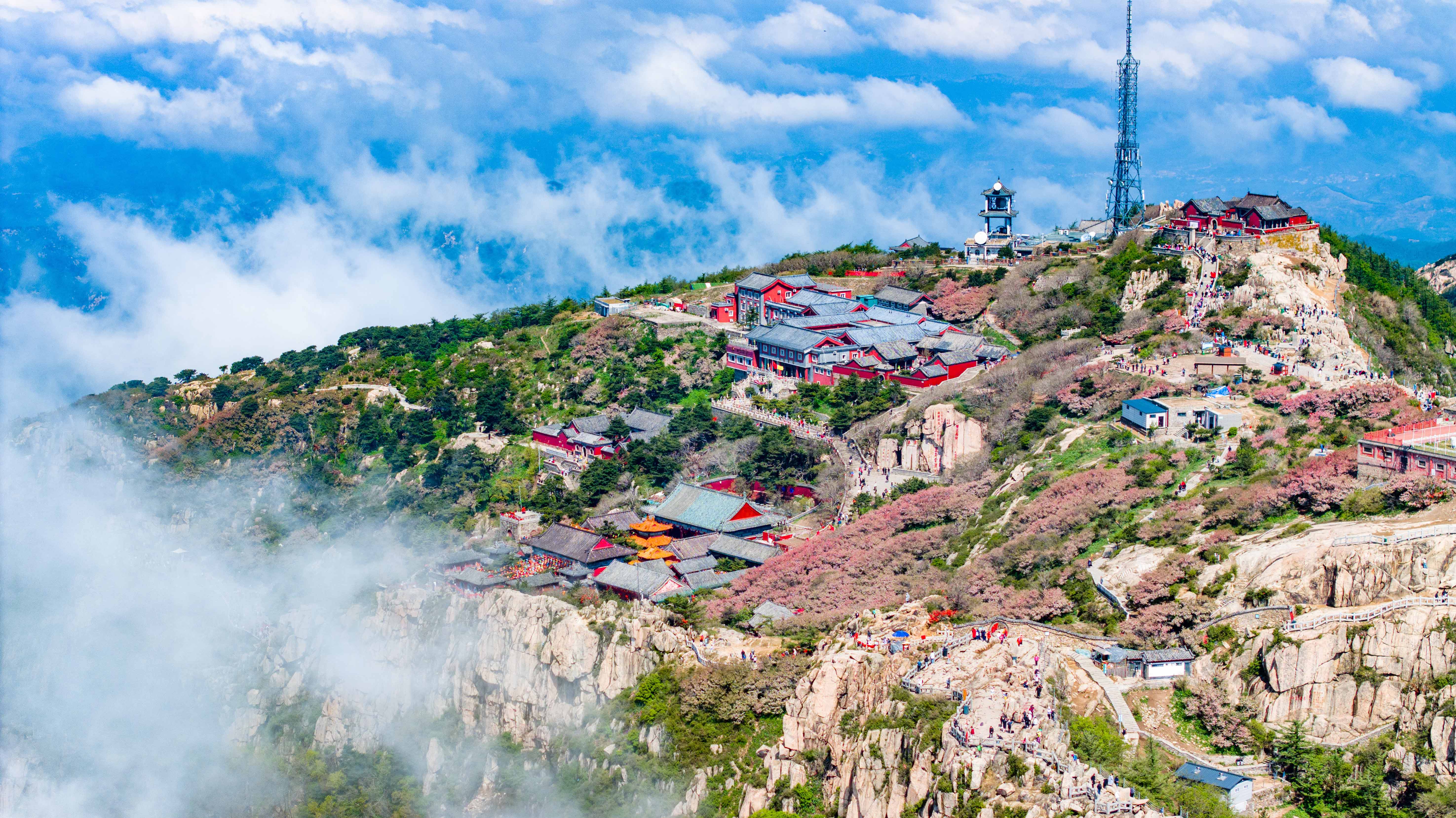 shandong_004