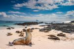 Galapagos_Islands_05