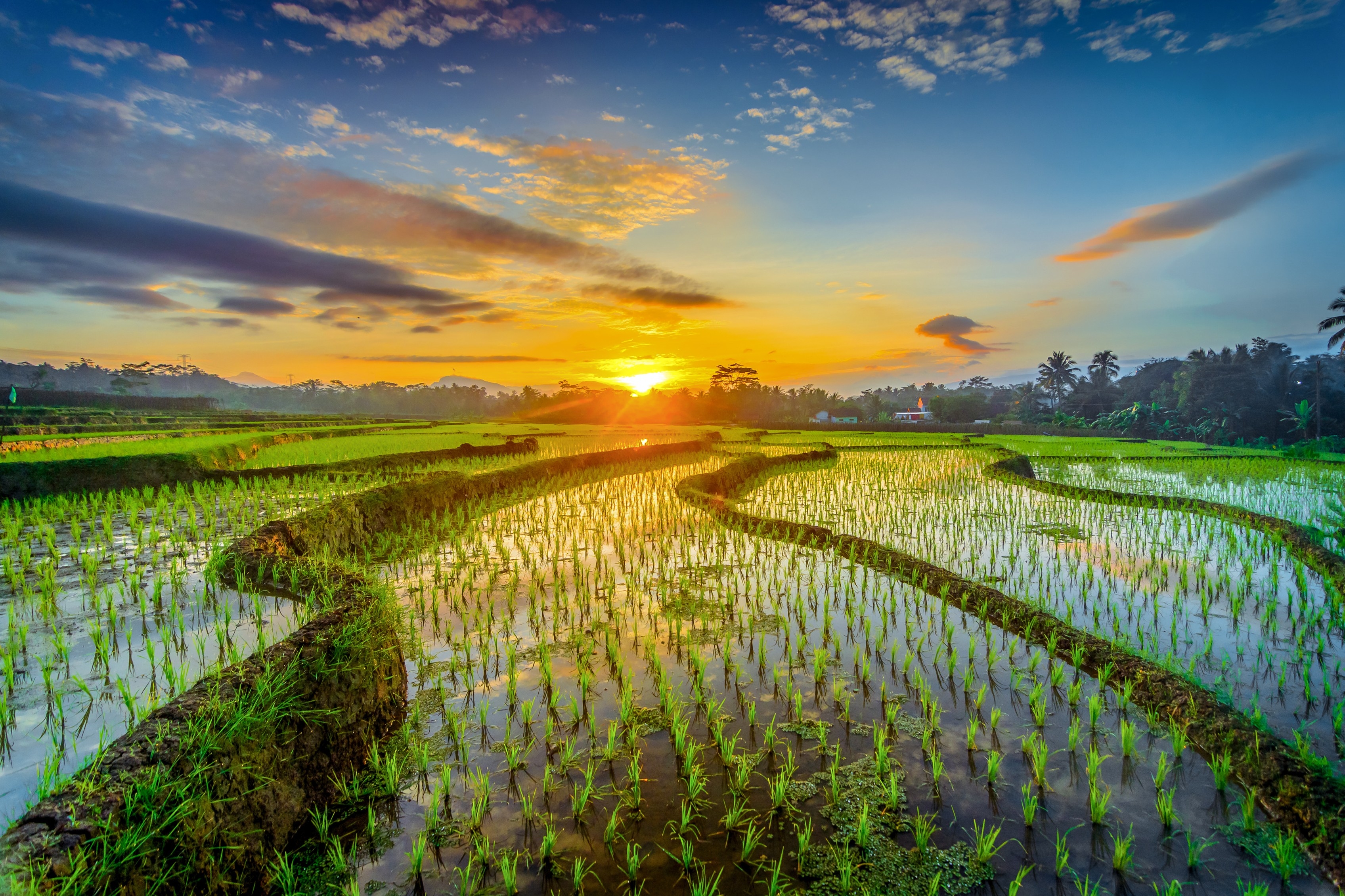 Sunrise_535