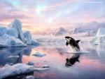 ocean-life-834