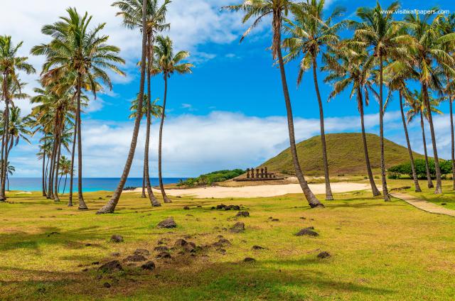 moai_stone_statues_64