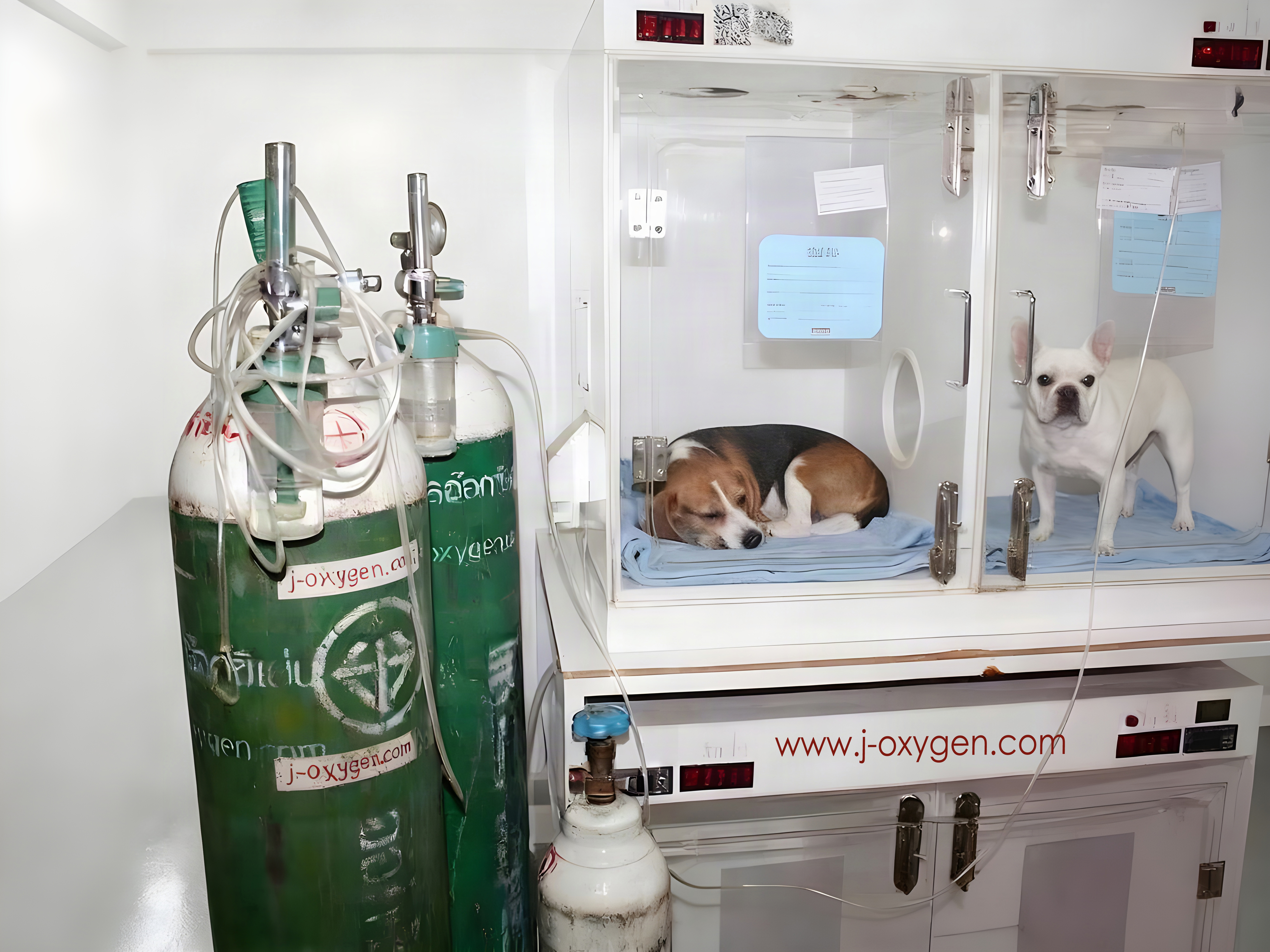 jakawal_oxygen_316