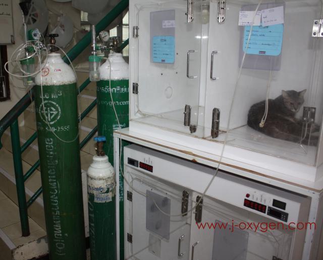 jakawal_oxygen_318