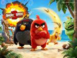the_angry_birds_25